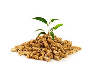 Λίγα λόγια για τα pellets